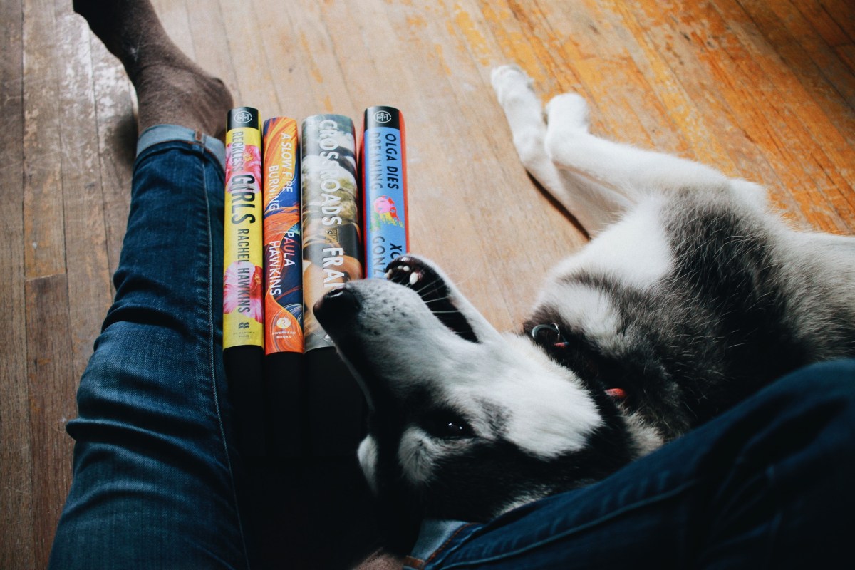 February Mini Reviews: The Vanishing Half, Reckless Girls, A Slow Fire&nbsp;Burning