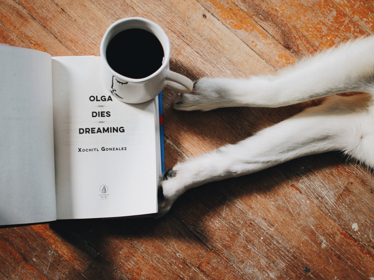 March Mini Reviews: Olga Dies Dreaming and The Golden&nbsp;Couple