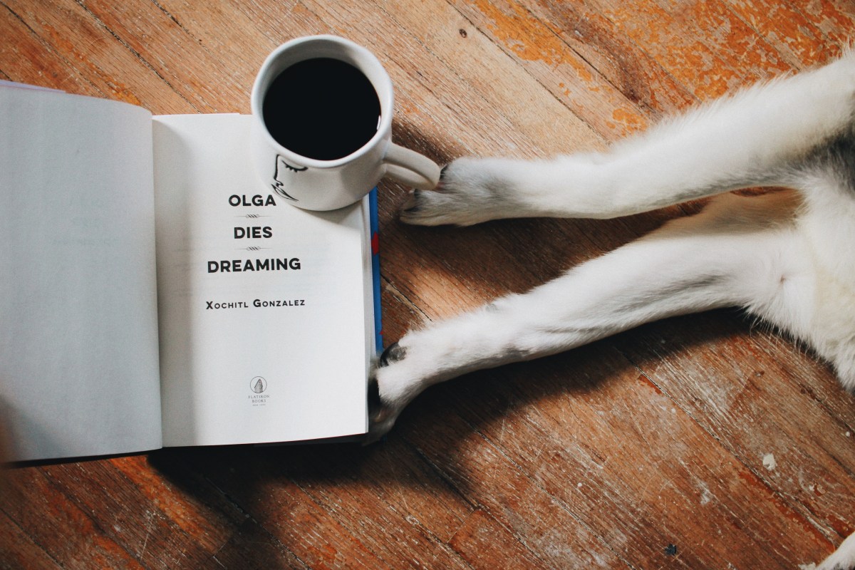 March Mini Reviews: Olga Dies Dreaming and The Golden&nbsp;Couple