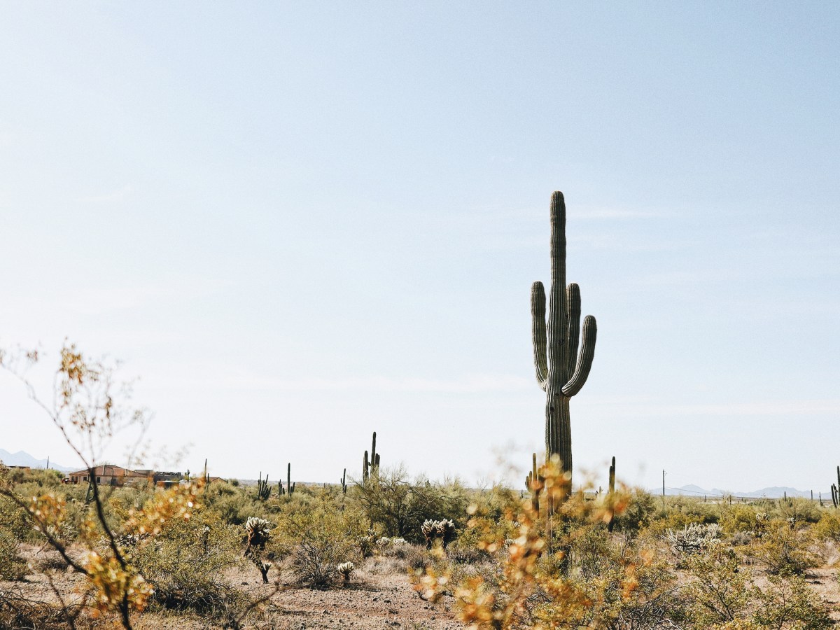 Visit Arizona: Explore, Hike, and Discover Scottsdale, Sedona and&nbsp;More!